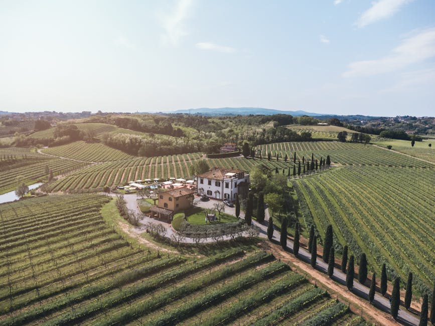 Tuscany Villas With Vineyard Walks and Artisan Bread