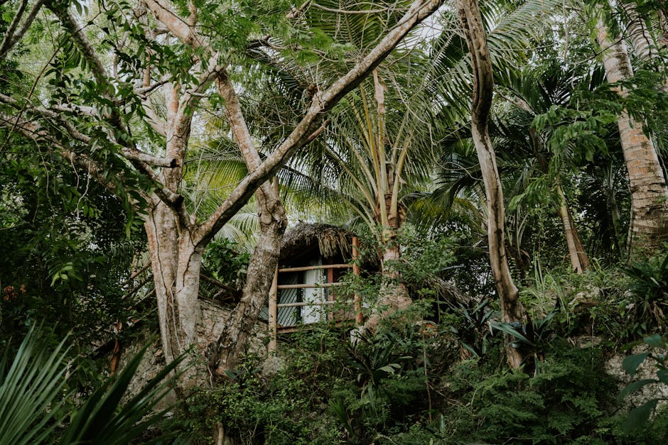 Uncover Secluded Wine Retreats Hidden in Tuscany’s Valleys