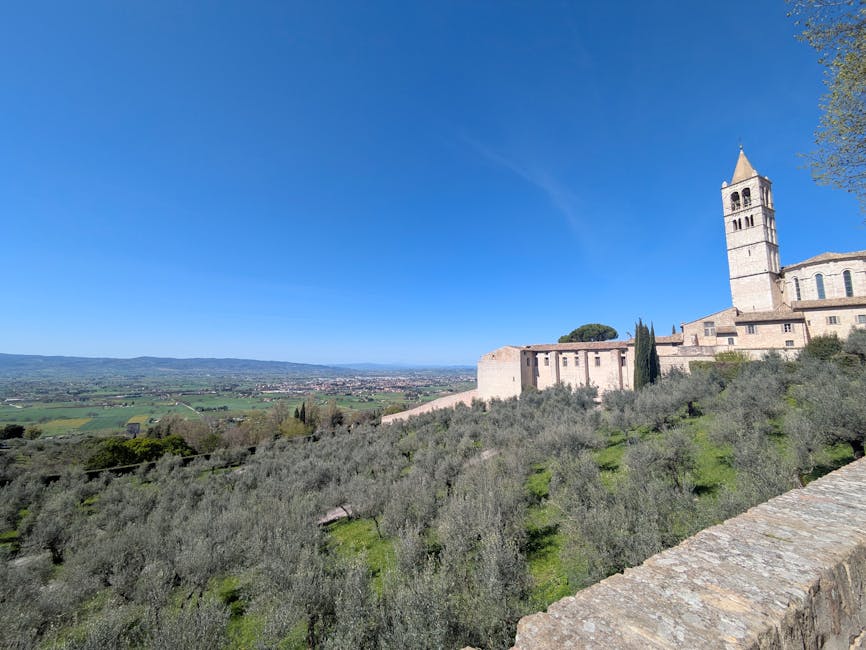 Villas Nestled Among Olive Groves in Rural Umbria