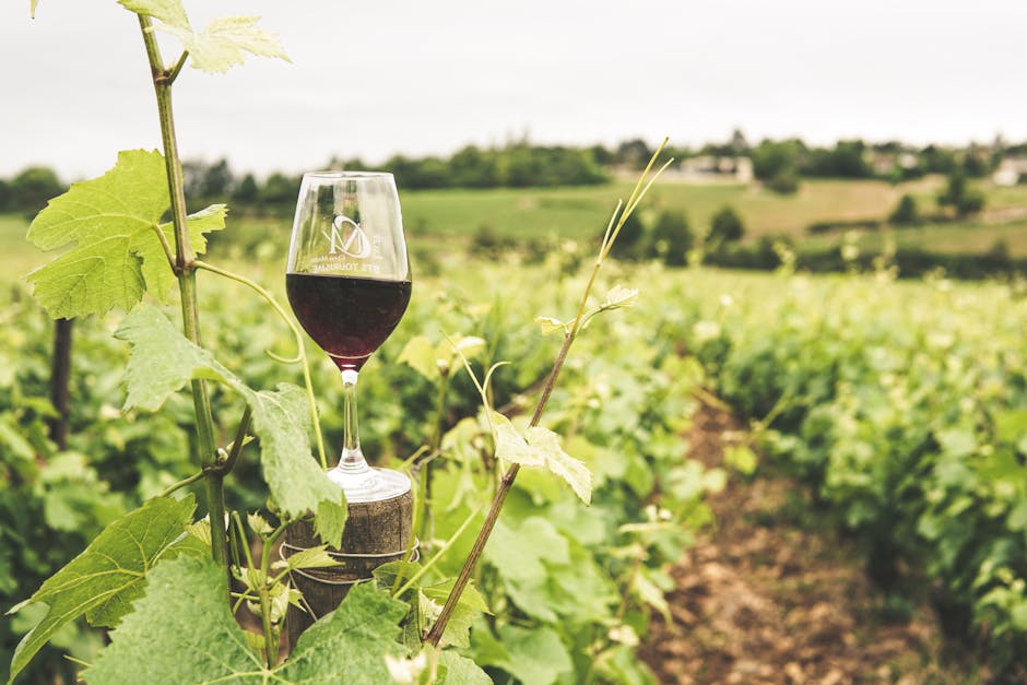 Vineyard Hotels That Offer Grape Bath Soaks
